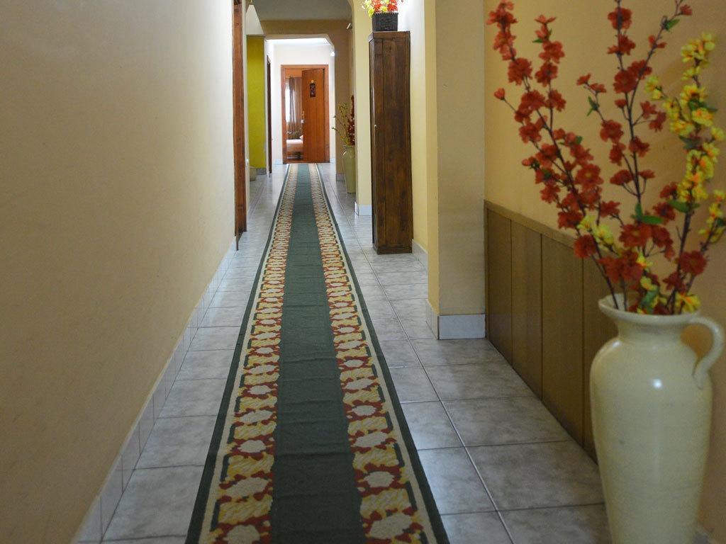 Guest House Vila Bor Novi Sad Exterior photo